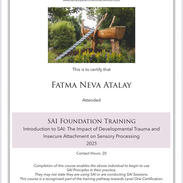 Resmi büyüt: certificate 42