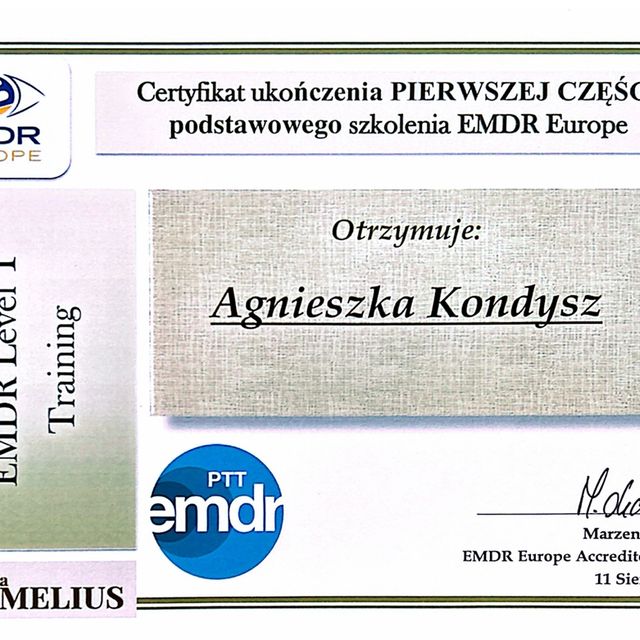 Powiększ obraz: certificate 8