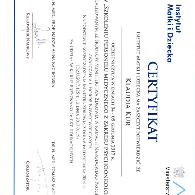 Powiększ obraz: certificate 2