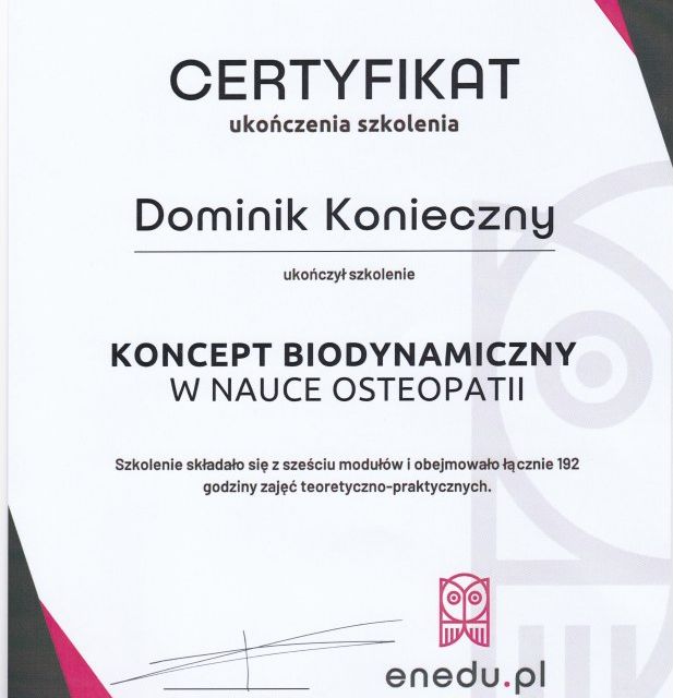 Powiększ obraz: certificate 28