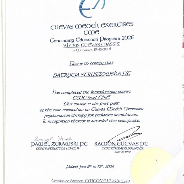 Powiększ obraz: certificate 3