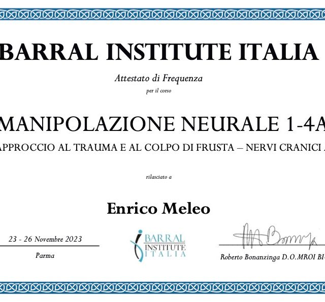 Ingrandire l'immagine: certificate 13