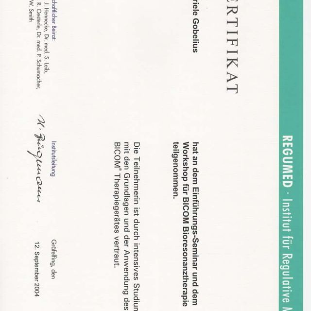 Bild vergrößern: certificate 4