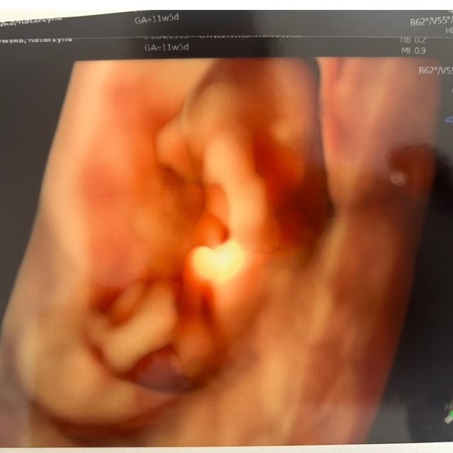 Powiększ obraz: certificate 65