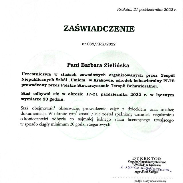 Powiększ obraz: certificate 41