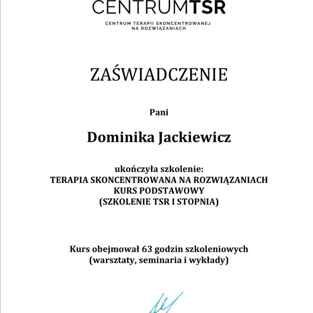 Powiększ obraz: certificate 1