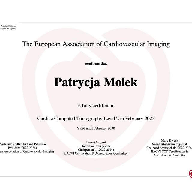 Powiększ obraz: certificate 1