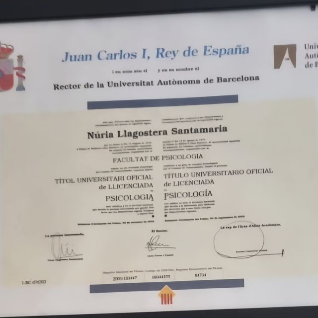 Acercar imagen: certificate 1