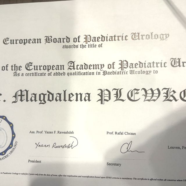 Powiększ obraz: certificate 2