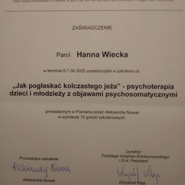 Powiększ obraz: certificate 2