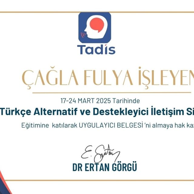 Resmi büyüt: certificate 12