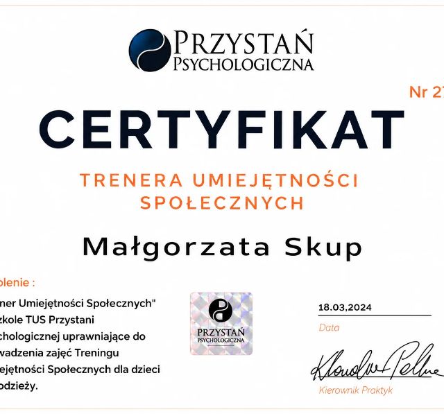 Powiększ obraz: certificate 1