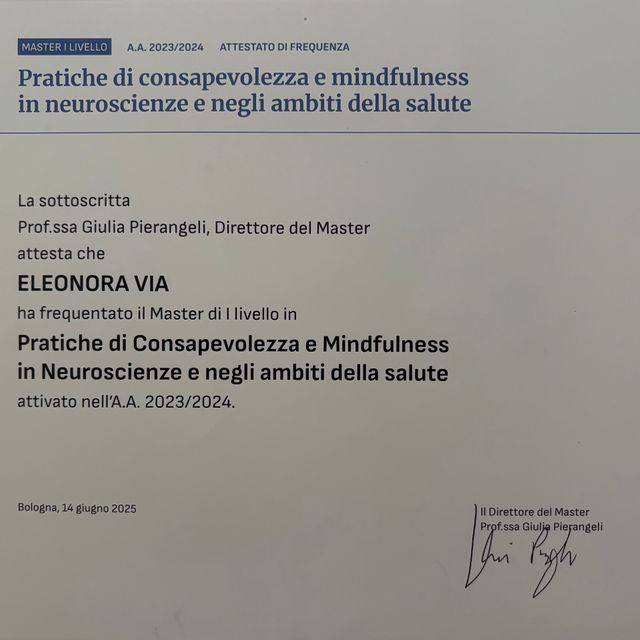 Ingrandire l'immagine: certificate 19