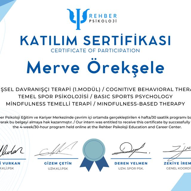 Resmi büyüt: certificate 1