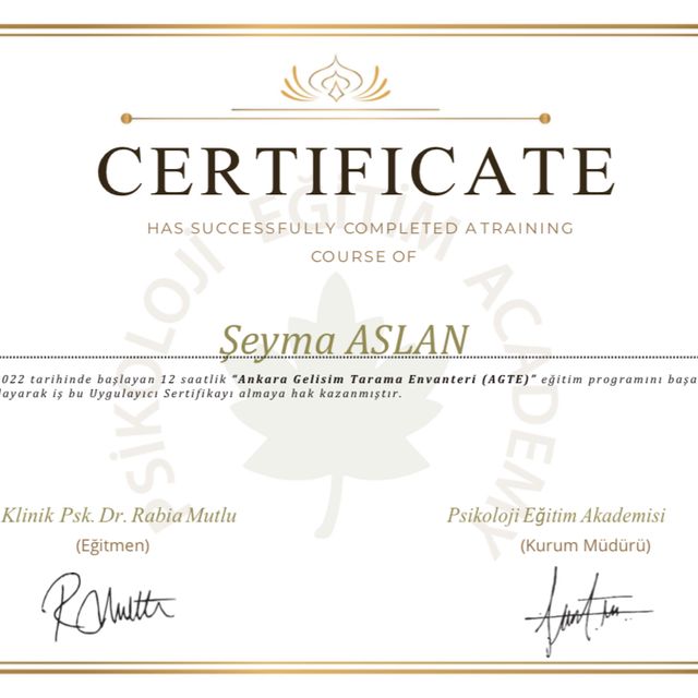 Resmi büyüt: certificate 10