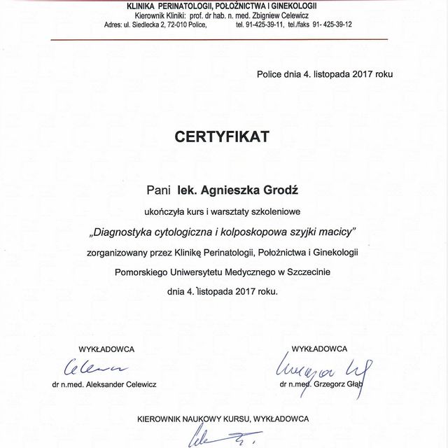 Powiększ obraz: certificate 1