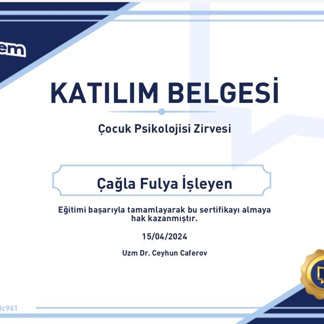 Resmi büyüt: certificate 29