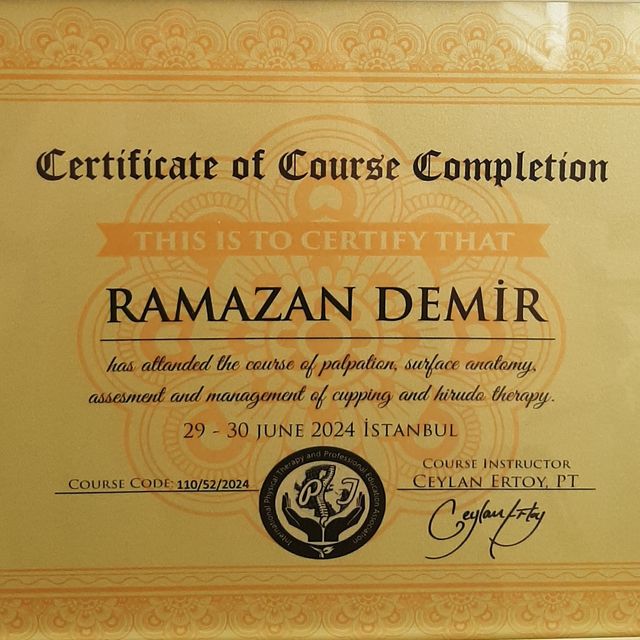 Resmi büyüt: certificate 9