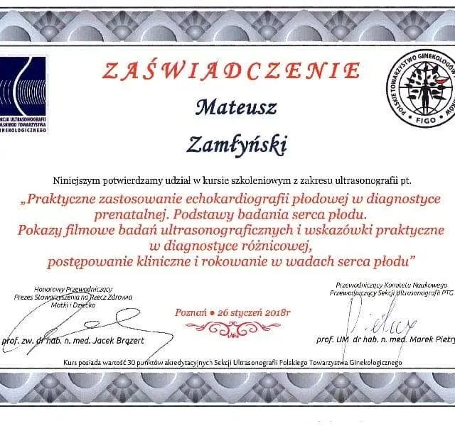 Powiększ obraz: certificate 9