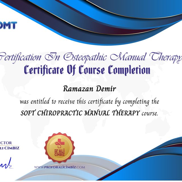 Resmi büyüt: certificate 46