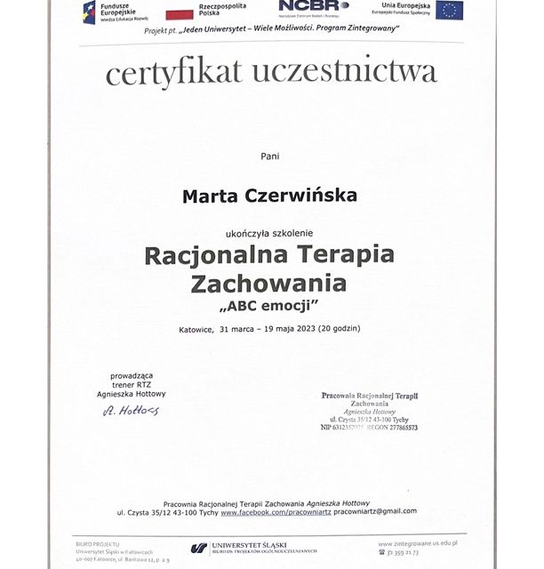 Powiększ obraz: certificate 3