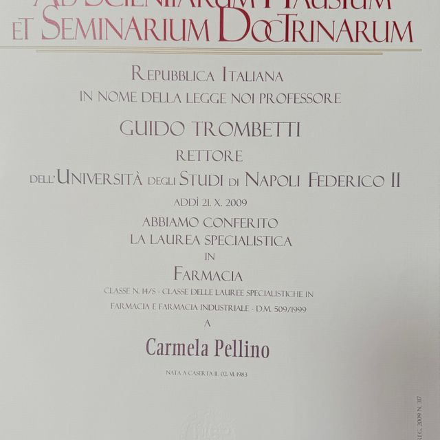 Ingrandire l'immagine: certificate 1