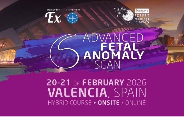 Powiększ obraz: certificate 183