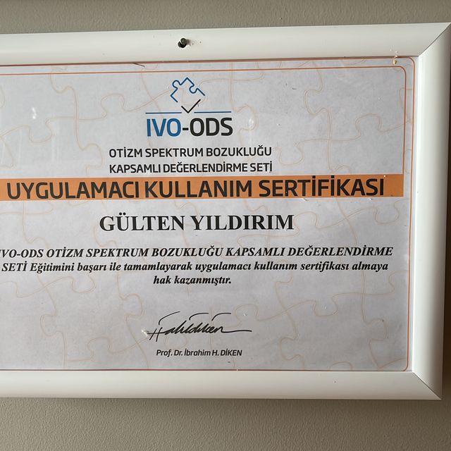 Resmi büyüt: certificate 2