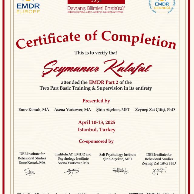 Resmi büyüt: certificate 8