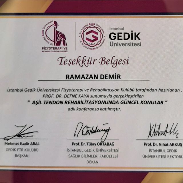 Resmi büyüt: certificate 31