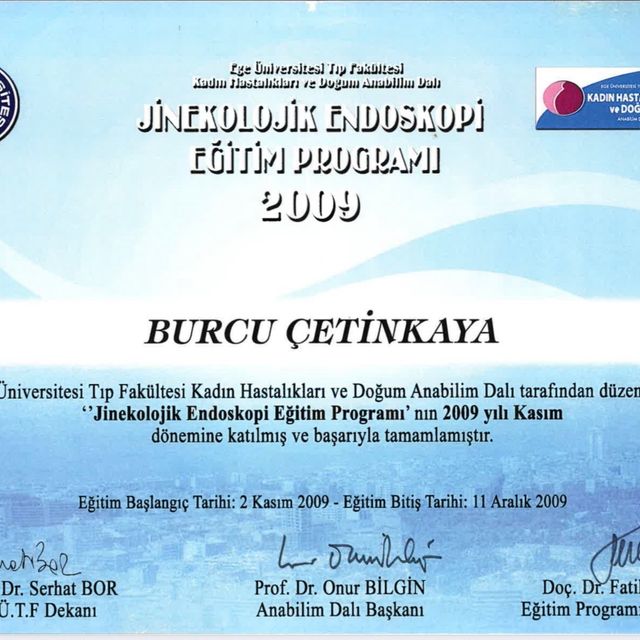 Resmi büyüt: certificate 22