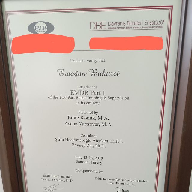 Resmi büyüt: certificate 9