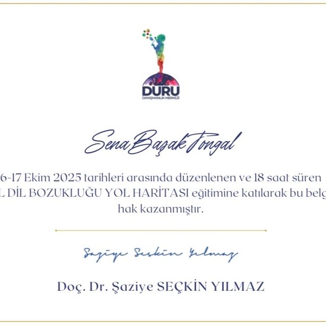 Resmi büyüt: certificate 1