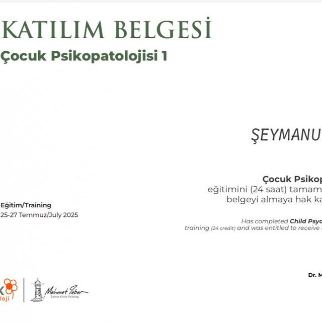 Resmi büyüt: certificate 12