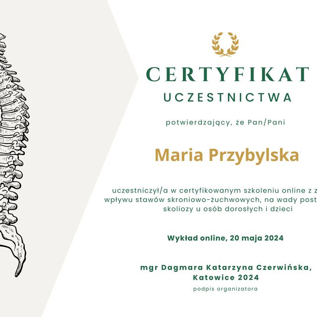 Powiększ obraz: certificate 1