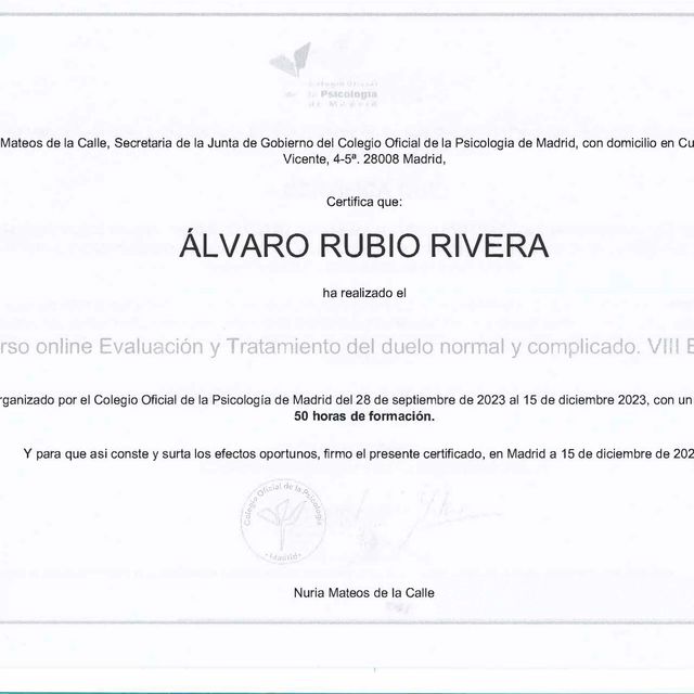 Acercar imagen: certificate 11