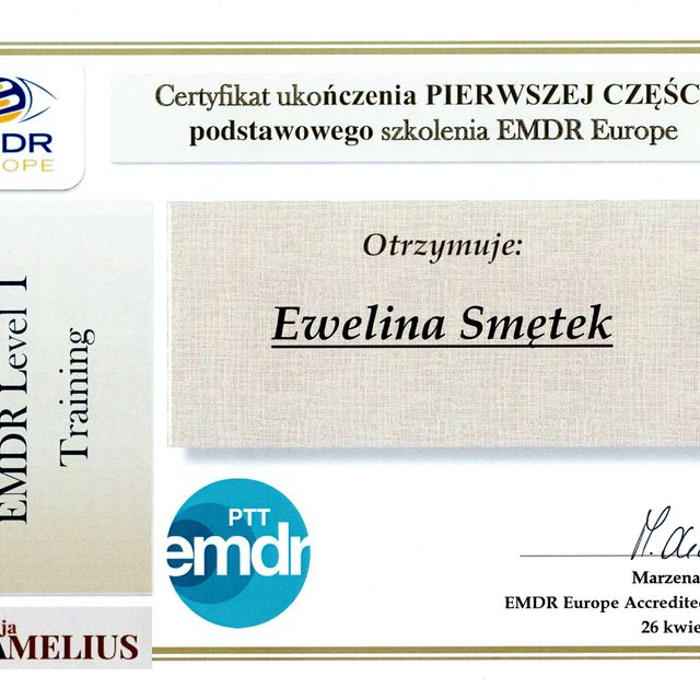 Powiększ obraz: certificate 1