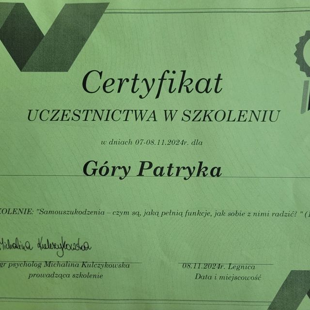 Powiększ obraz: certificate 1