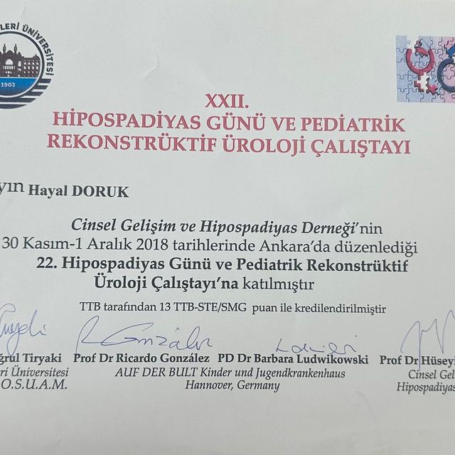 Resmi büyüt: certificate 8