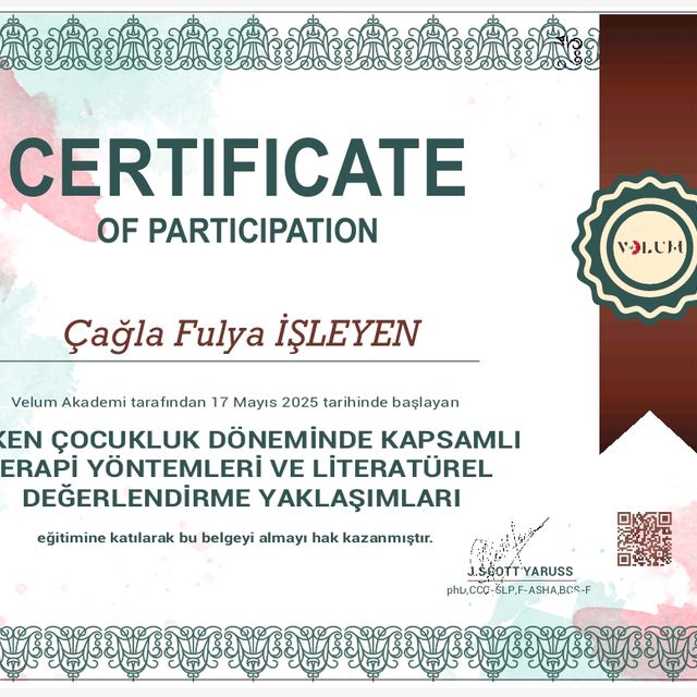 Resmi büyüt: certificate 20