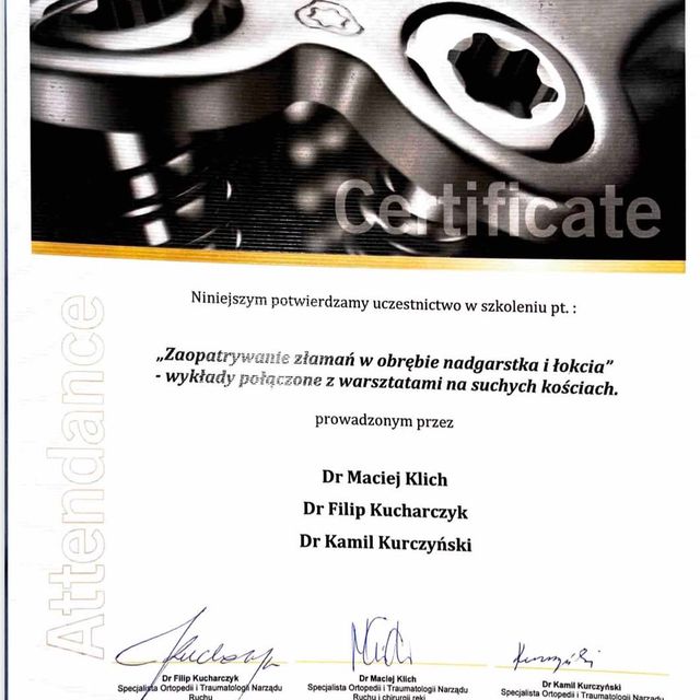 Powiększ obraz: certificate 1