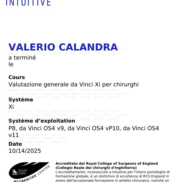 Ingrandire l'immagine: certificate 2