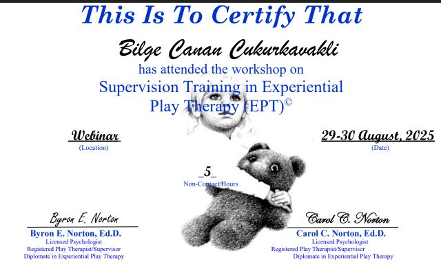 Resmi büyüt: certificate 9