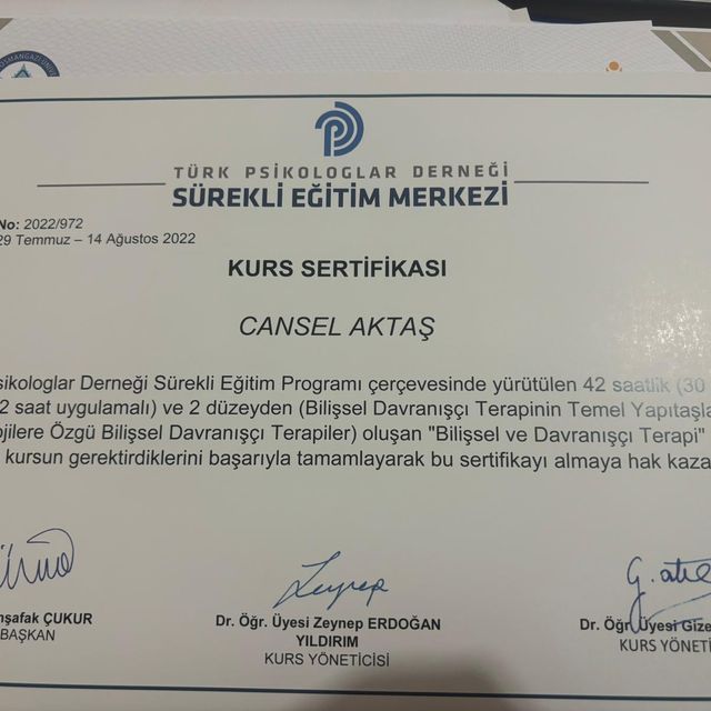 Resmi büyüt: certificate 11