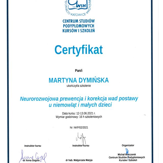 Powiększ obraz: certificate 6