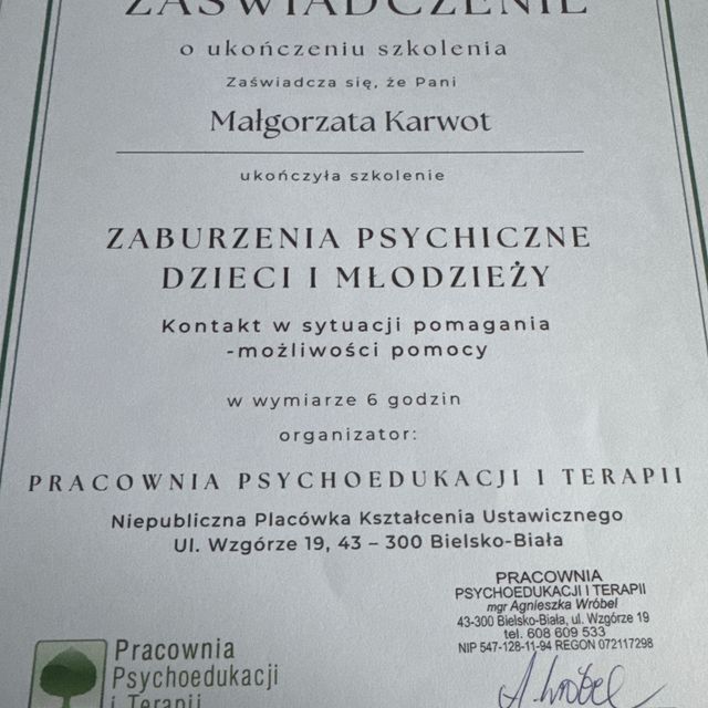Powiększ obraz: certificate 2