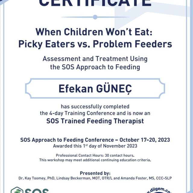 Resmi büyüt: certificate 2