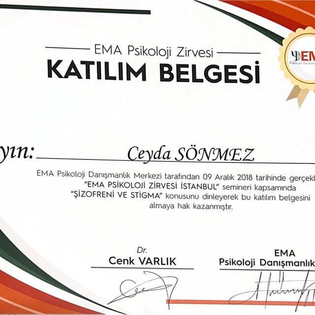 Resmi büyüt: certificate 13