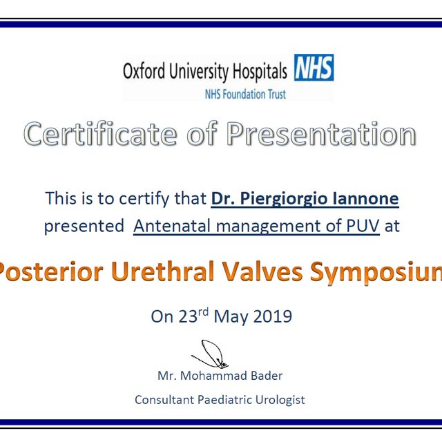 Ingrandire l'immagine: certificate 6