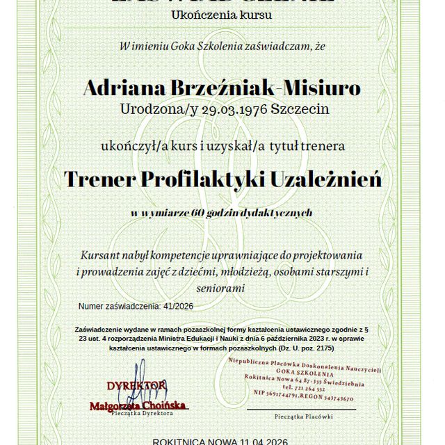 Powiększ obraz: certificate 2
